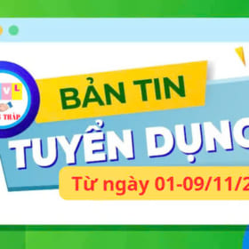 BẢN TIN TUYỂN DỤNG TUẦN TỪ NGÀY 01-09/11/2024