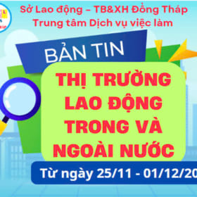 BẢN TIN THỊ TRƯỜNG LAO ĐỘNG TRONG VÀ NGOÀI NƯỚC TỪ NGÀY 25/11 – 01/12/2024