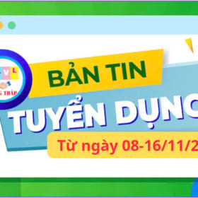 BẢN TIN TUYỂN DỤNG TỪ NGÀY 08 – 16/11/2024