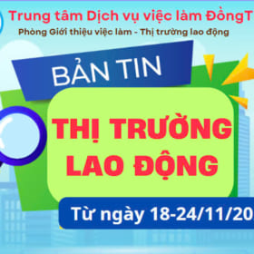 BẢN TIN THỊ TRƯỜNG LAO ĐỘNG TỪ 18-24/11/2024