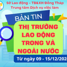 BẢN TIN THỊ TRƯỜNG LAO ĐỘNG TRONG VÀ NGOÀI NƯỚC TỪ NGÀY 09 – 15/12/2024