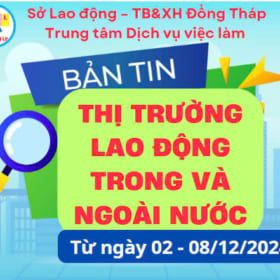 BẢN TIN THỊ TRƯỜNG LAO ĐỘNG TRONG VÀ NGOÀI NƯỚC (Từ ngày 02 – 08/12/2024)