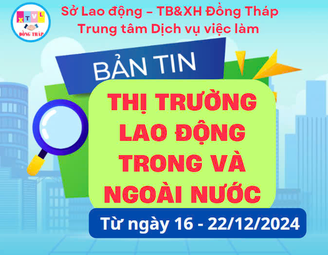 BẢN TIN THỊ TRƯỜNG LAO ĐỘNG TRONG VÀ NGOÀI NƯỚC TỪ NGÀY 16 – 22/12/2024