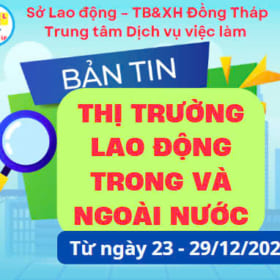 BẢN TIN THỊ TRƯỜNG LAO ĐỘNG TRONG VÀ NGOÀI NƯỚC TỪ NGÀY 23 – 29/12/2024