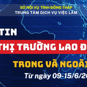 BẢN TIN THỊ TRƯỜNG LAO ĐỘNG TRONG VÀ NGOÀI NƯỚC (Từ ngày 09-15/6/2025)