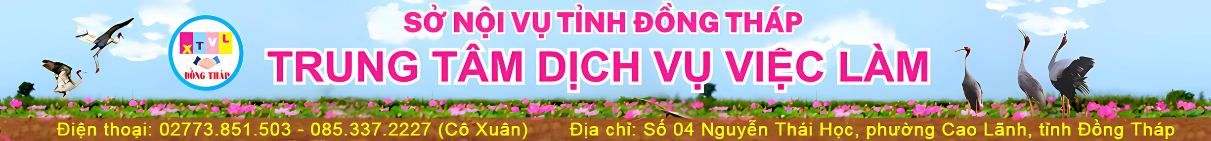 Trung Tâm Dịch Vụ Việc Làm Đồng Tháp